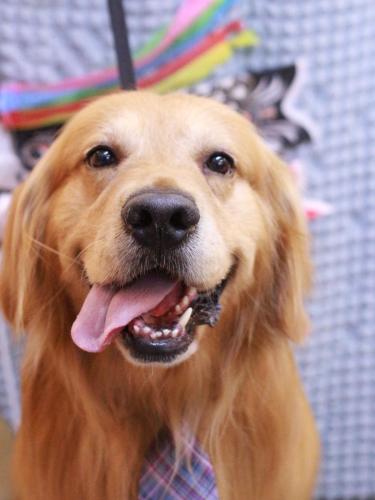 20230502レオくん